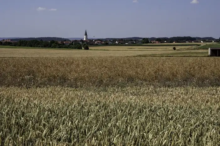 Berngau, Ausschnitt